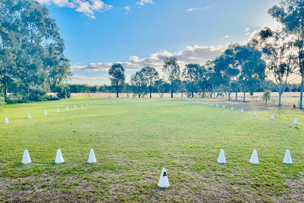 Ferrari Dressage Arena