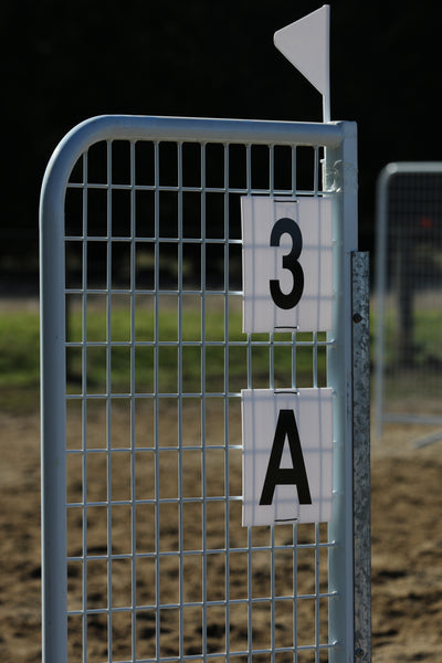 Show Jumping Numbers