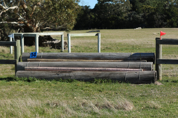 Ferrari Cross Country Numbers