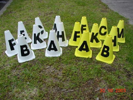 Ferrari Dressage Letters