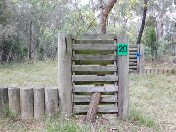 Ferrari Cross Country Numbers