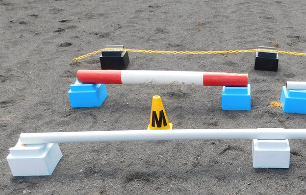 Ferrari Budget Arena 20m x 60m