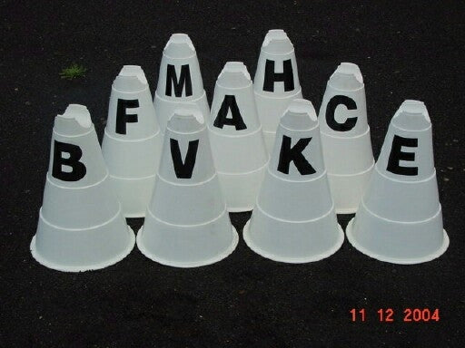 Ferrari Dressage Letters