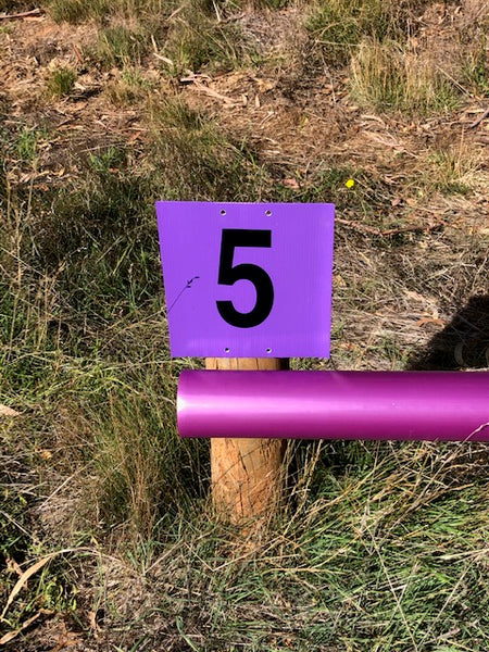 Ferrari Cross Country Numbers