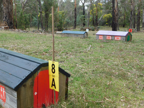 Ferrari Cross Country Numbers