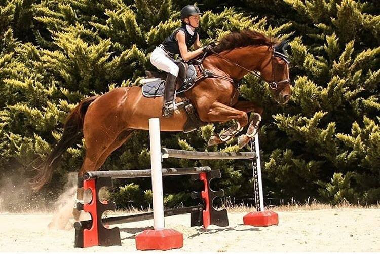 How To Build Your Own Horse Jumps - Budget Equestrian